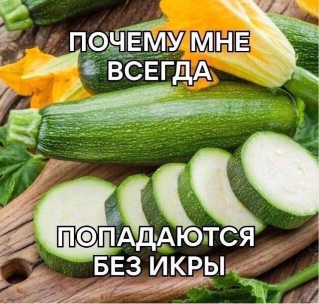 Не ищите здесь смысл. Здесь в основном маразм