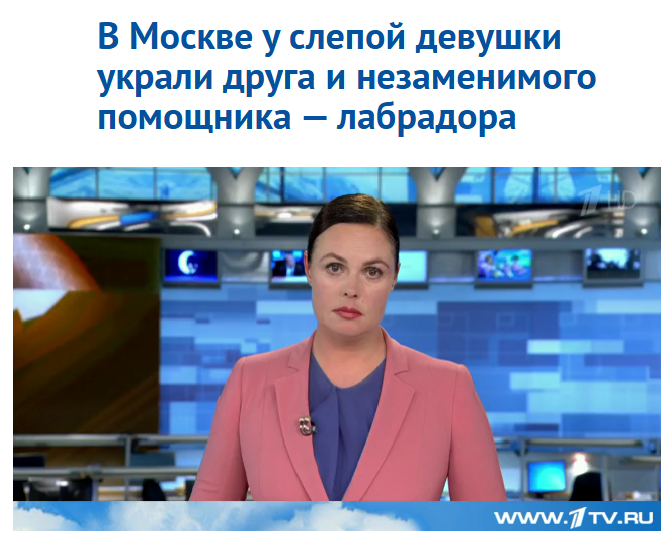 Как я похительнице собак помогал
