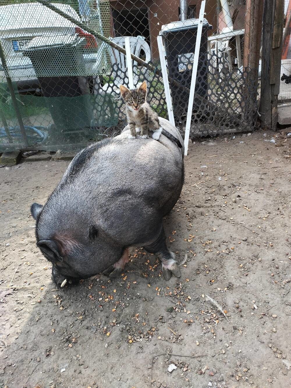 На общую тему 