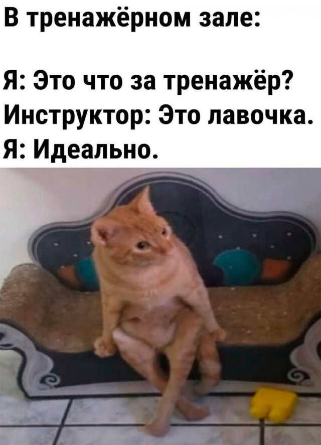Скрины из соцсетей