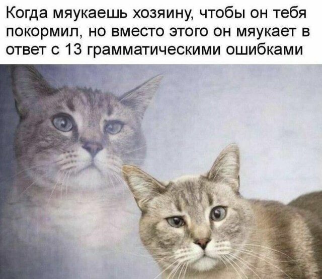 Скрины из соцсетей
