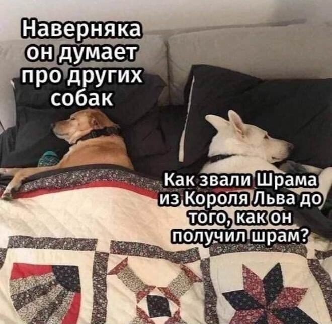 Не ищите здесь смысл. Здесь в основном маразм