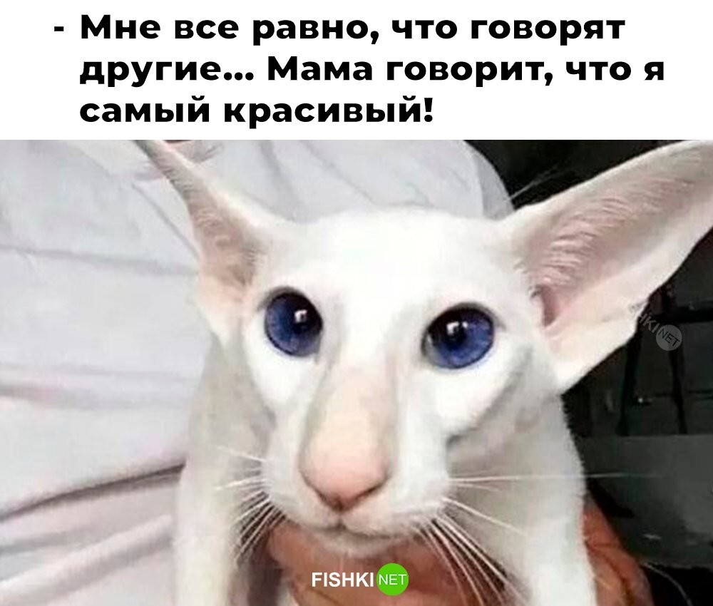 Не ищите здесь смысл. Здесь в основном маразм