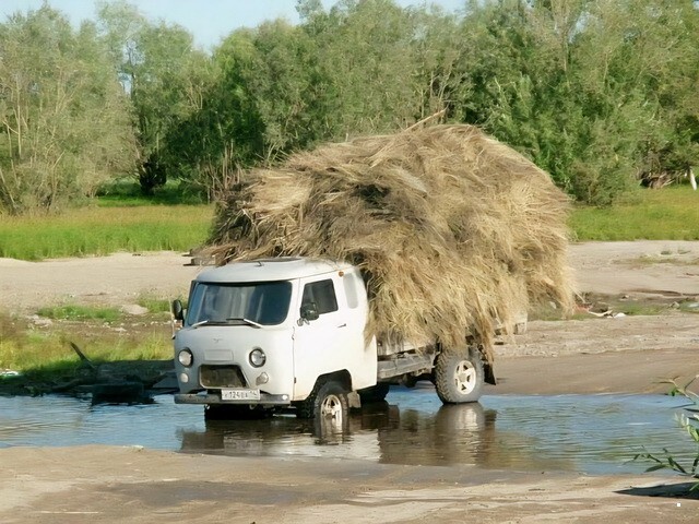 АвтоВсячина