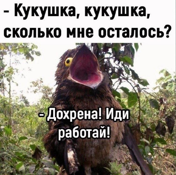 Смешные картинки