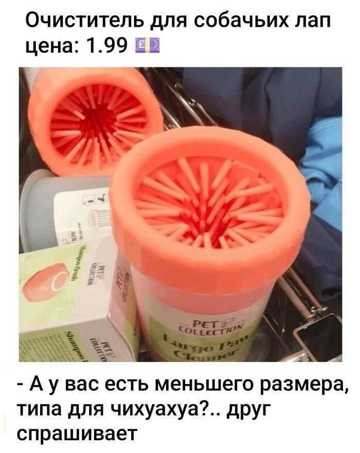 Смешные картинки