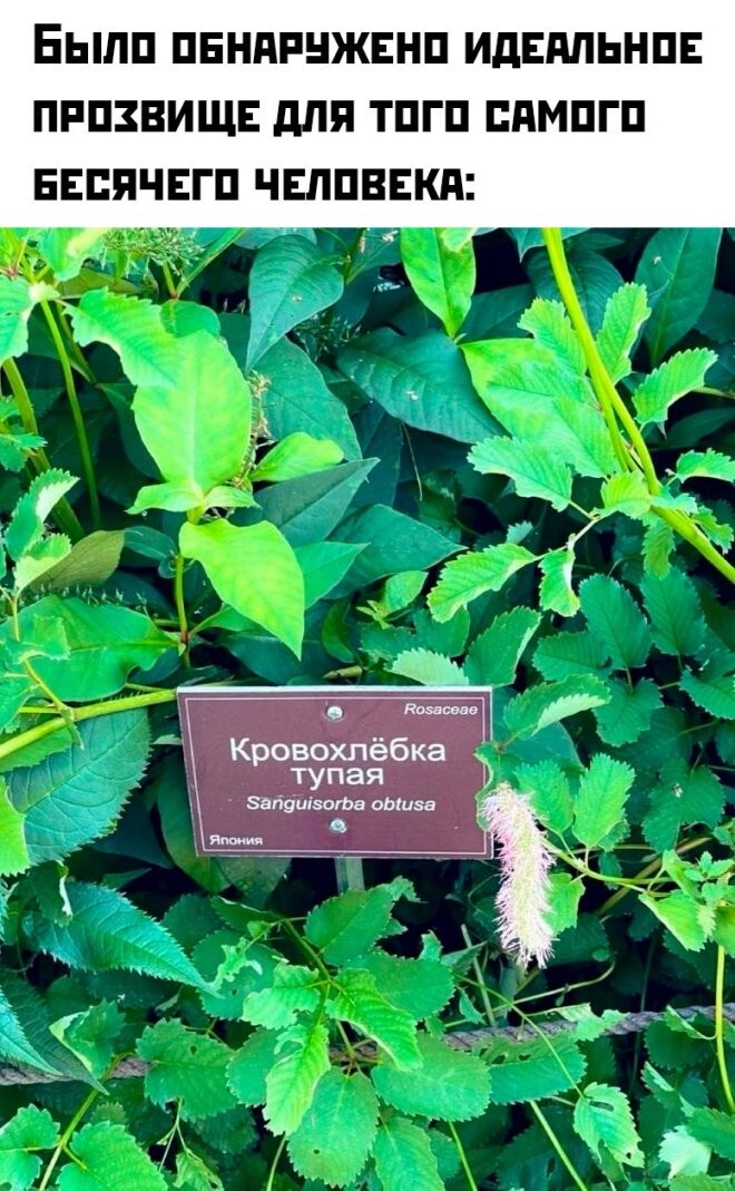 Смешные картинки