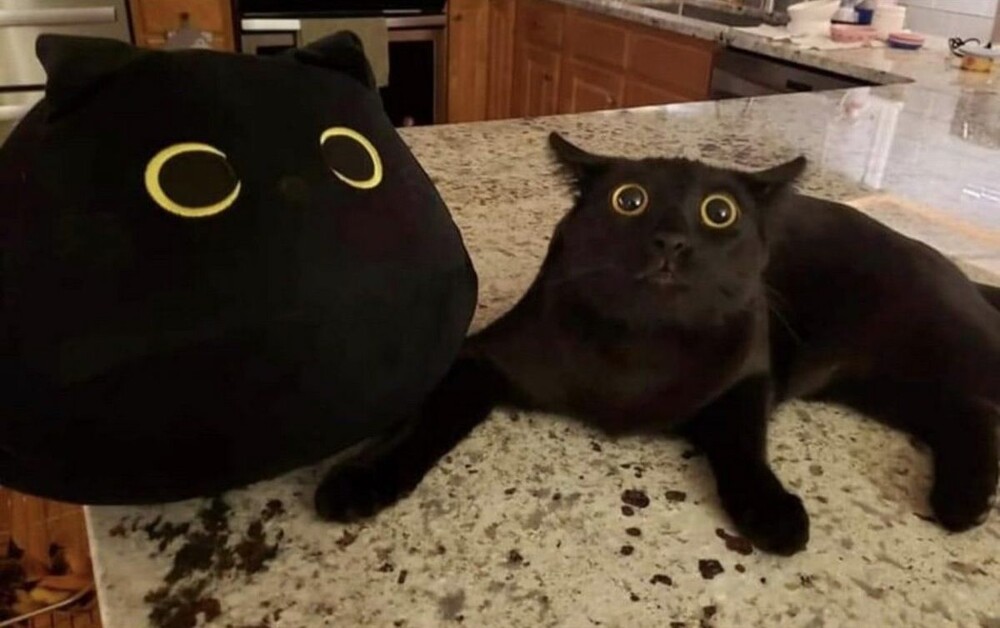 На общую тему 
