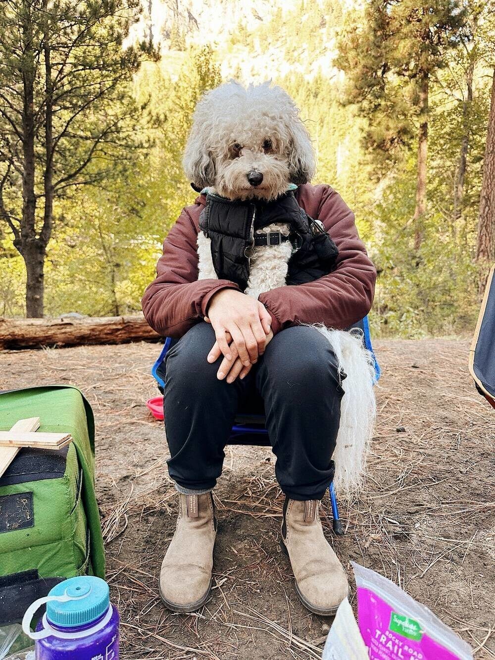 На общую тему 