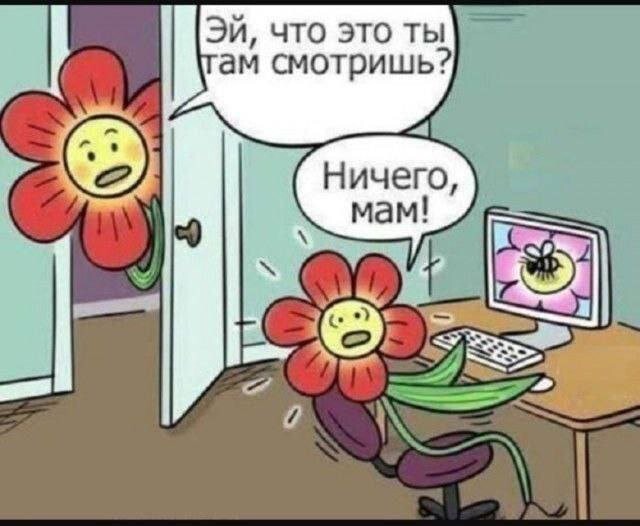 Скрины из соцсетей