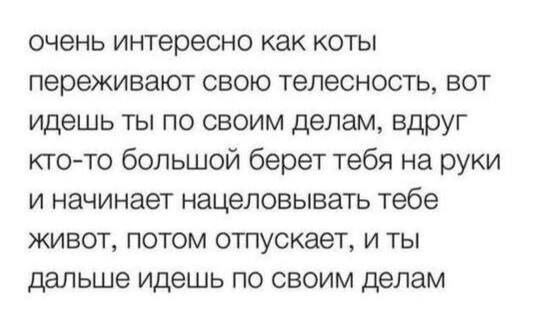 Скрины из соцсетей