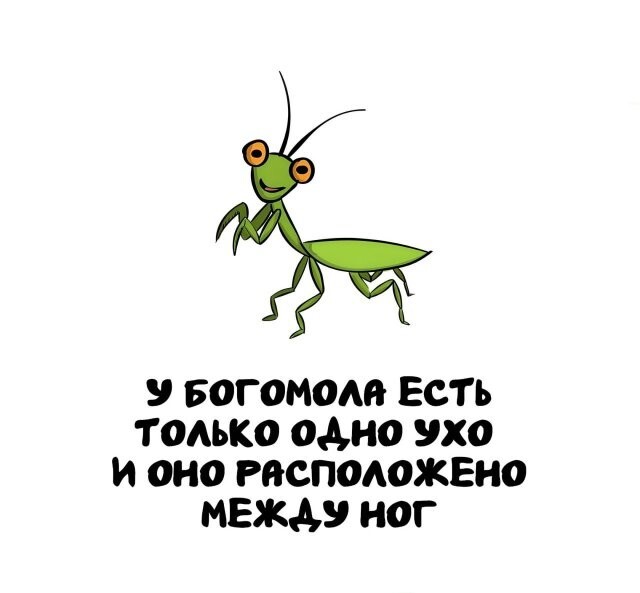 А вдруг ты не знал…