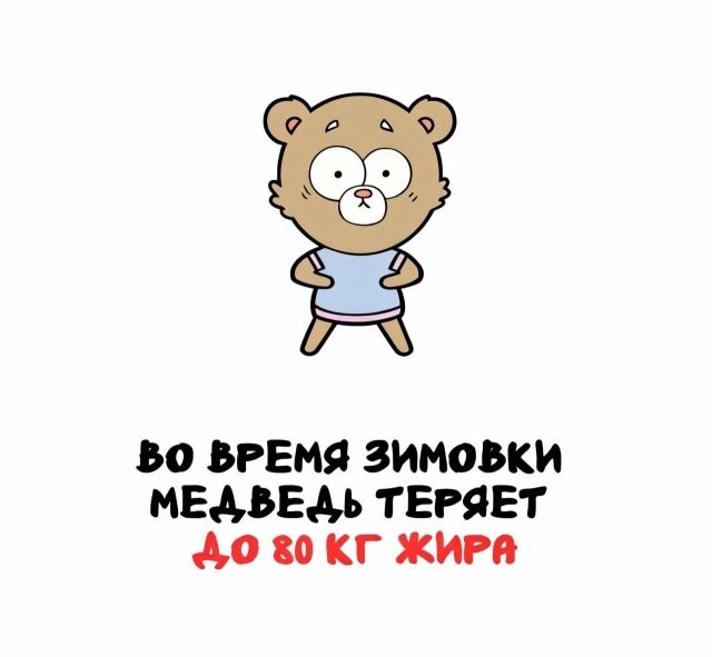 А вдруг ты не знал…