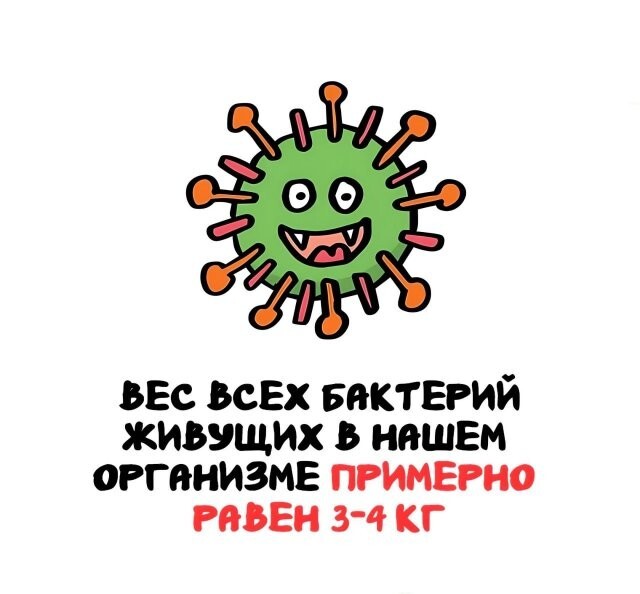 А вдруг ты не знал…
