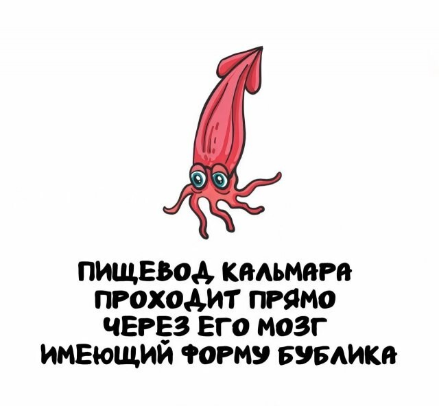 А вдруг ты не знал…