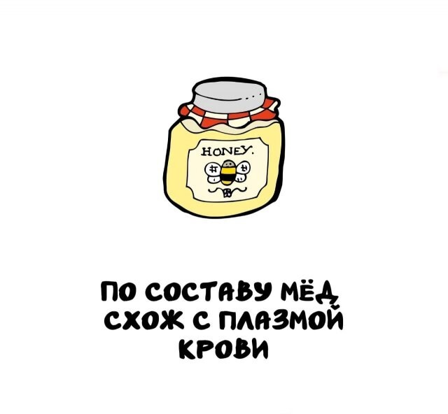 А вдруг ты не знал…