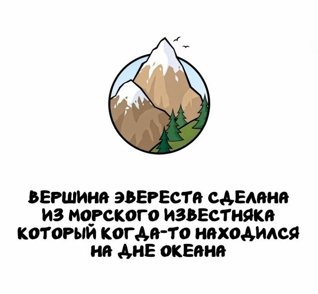 А вдруг ты не знал…