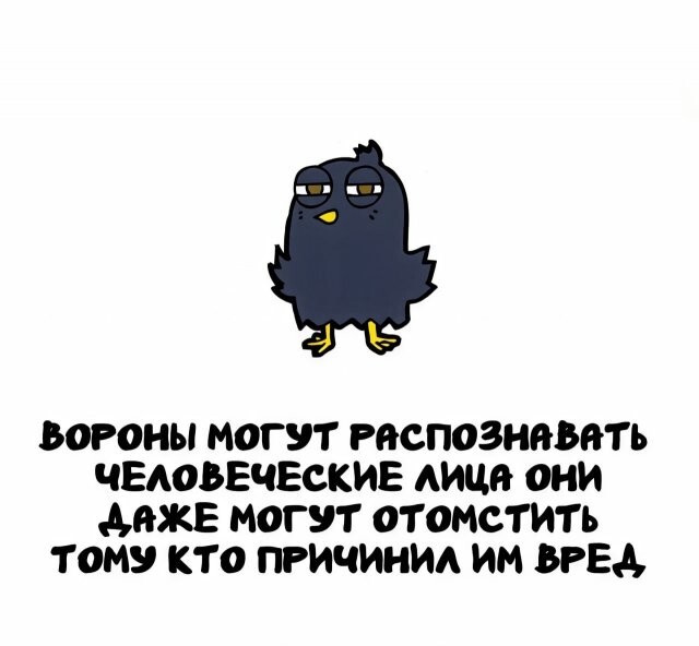 А вдруг ты не знал…
