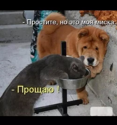 Не ищите здесь смысл. Здесь в основном маразм