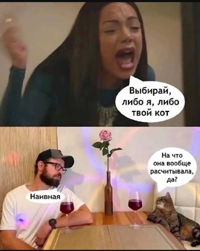 Не ищите здесь смысл. Здесь в основном маразм