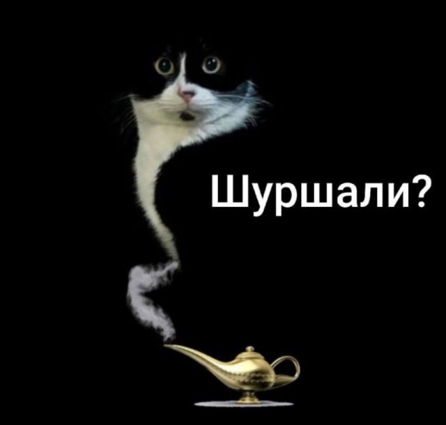 Не ищите здесь смысл. Здесь в основном маразм