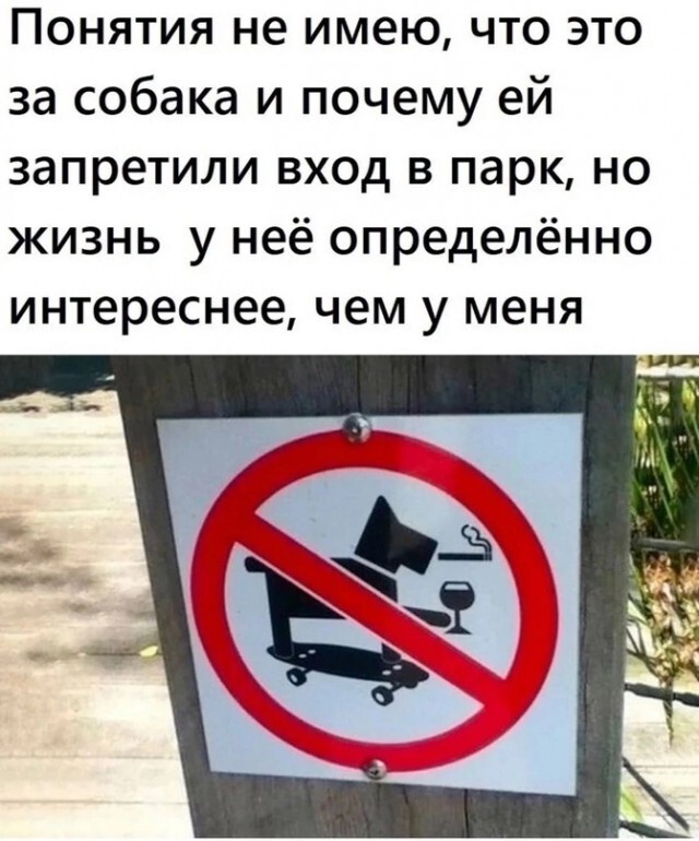 Не ищите здесь смысл. Здесь в основном маразм