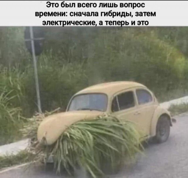 Не ищите здесь смысл. Здесь в основном маразм