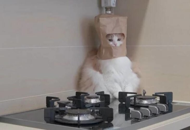 Всё вразнобой 