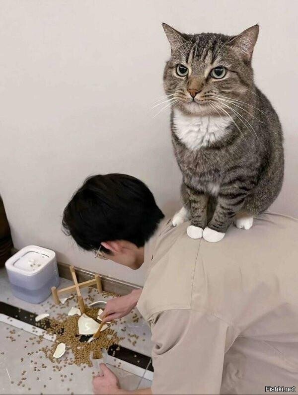 Солянка