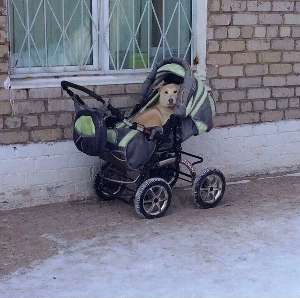 На общую тему 