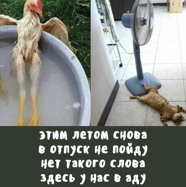 Новости нашего мира