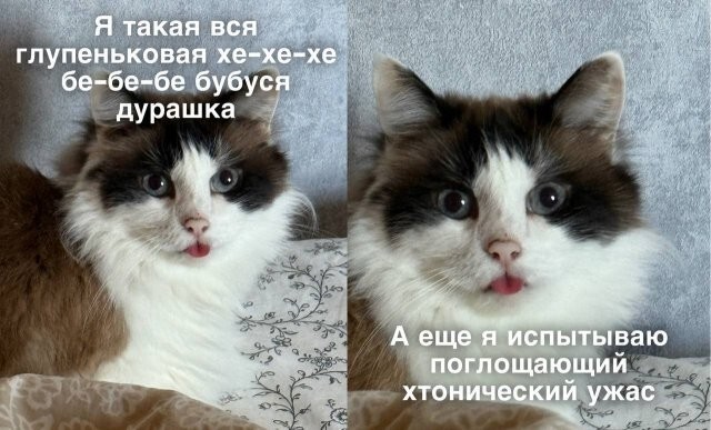 Скрины из соцсетей