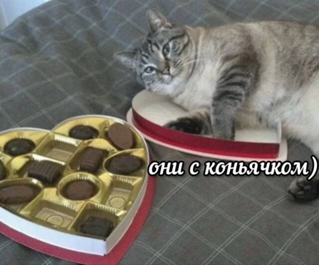 Скрины из соцсетей