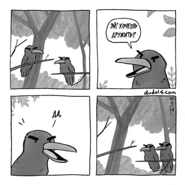 Скрины из соцсетей