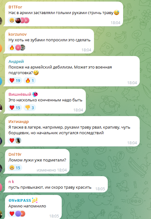 В Ярославской области школьников заставили стричь газон канцелярскими ножницами