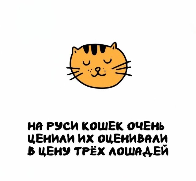 А вдруг ты не знал…