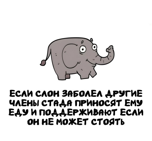 А вдруг ты не знал…