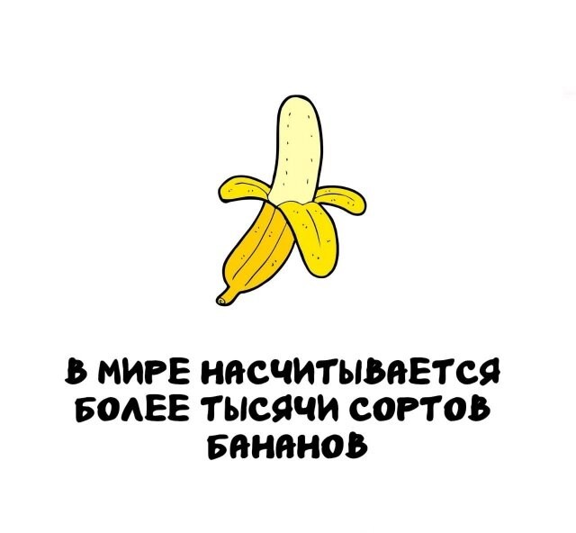А вдруг ты не знал…