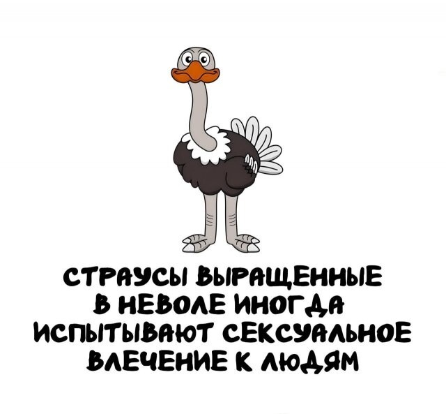 А вдруг ты не знал…