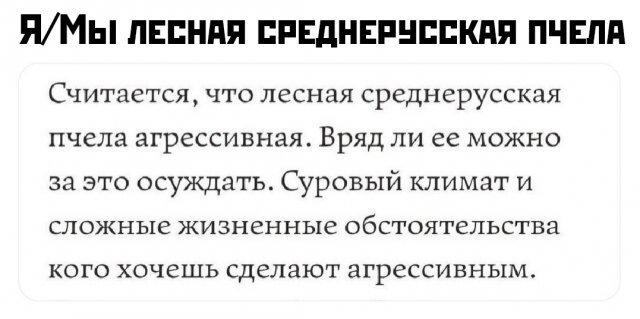 Намешалось