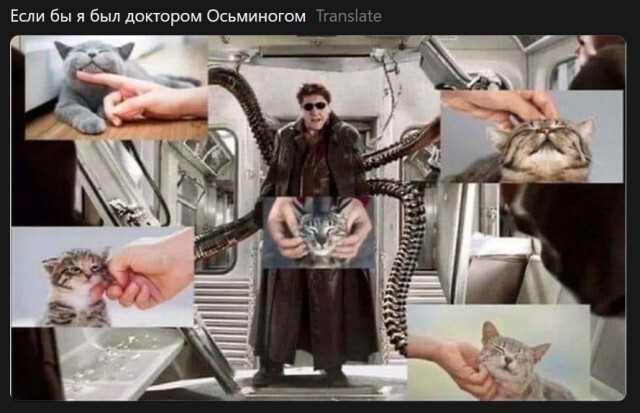 Не ищите здесь смысл. Здесь в основном маразм