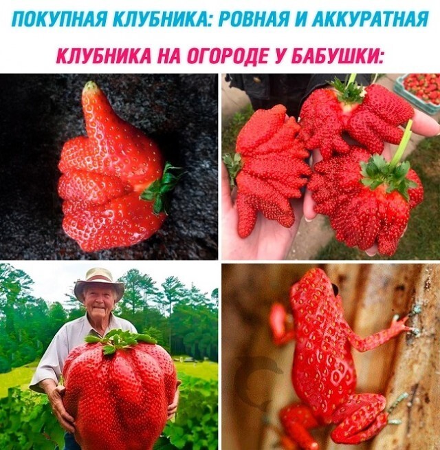 Не ищите здесь смысл. Здесь в основном маразм