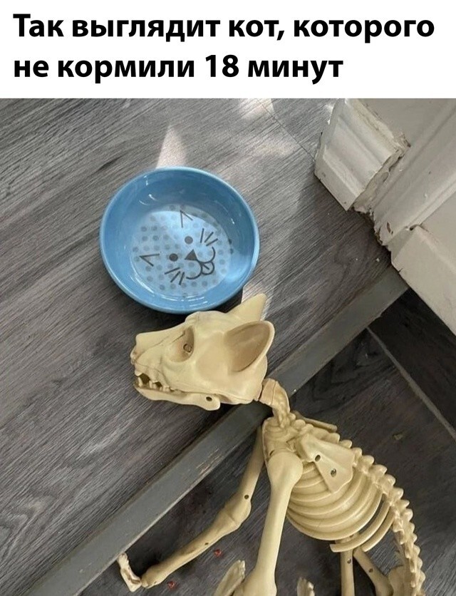 Не ищите здесь смысл. Здесь в основном маразм