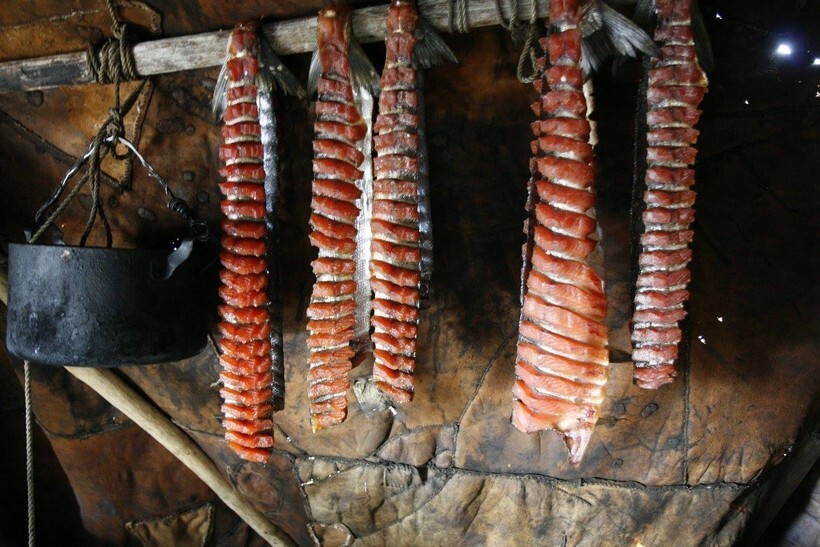 Ульчи