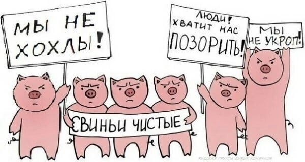 О политике и не только