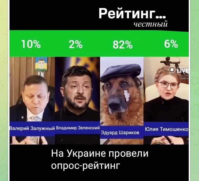 О политике и не только