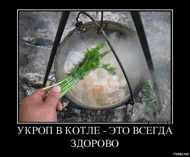 О политике и не только