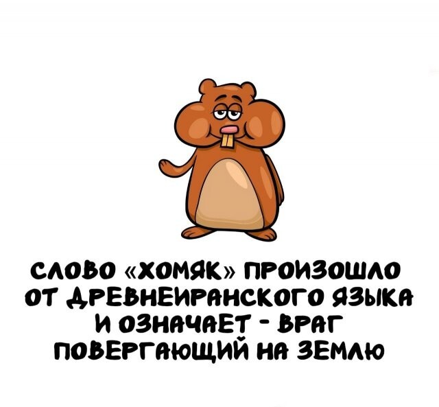 А вдруг ты не знал…