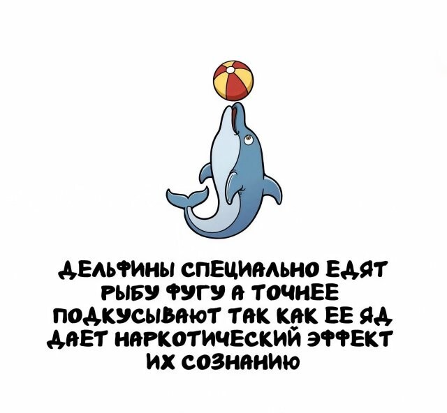 А вдруг ты не знал…