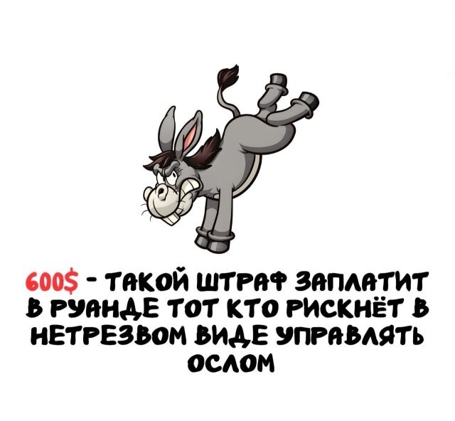 А вдруг ты не знал…